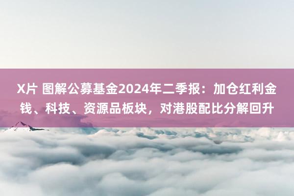 X片 图解公募基金2024年二季报：加仓红利金钱、科技、资源品板块，对港股配比分解回升