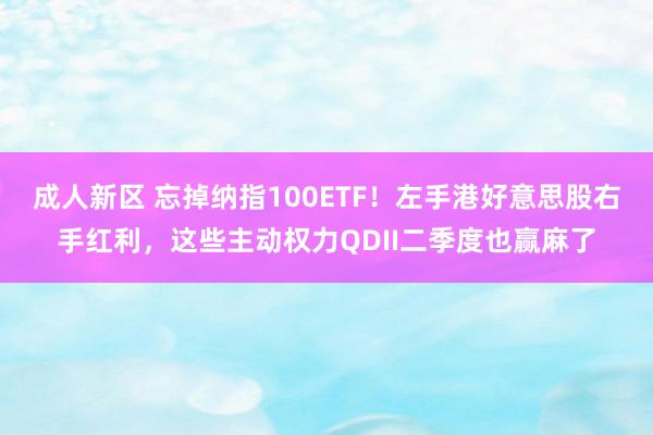 成人新区 忘掉纳指100ETF！左手港好意思股右手红利，这些主动权力QDII二季度也赢麻了