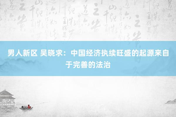 男人新区 吴晓求：中国经济执续旺盛的起源来自于完善的法治