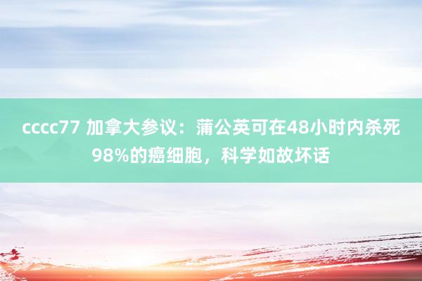 cccc77 加拿大参议：蒲公英可在48小时内杀死98%的癌细胞，科学如故坏话