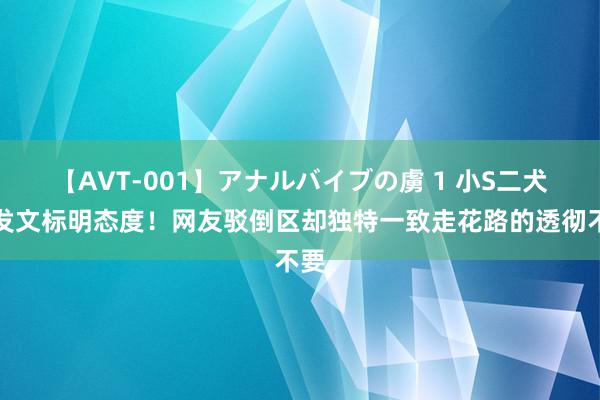 【AVT-001】アナルバイブの虜 1 小S二犬子发文标明态度！网友驳倒区却独特一致走花路的透彻不要