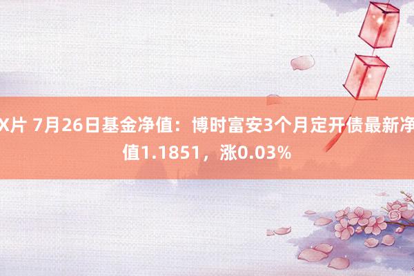 X片 7月26日基金净值：博时富安3个月定开债最新净值1.1851，涨0.03%