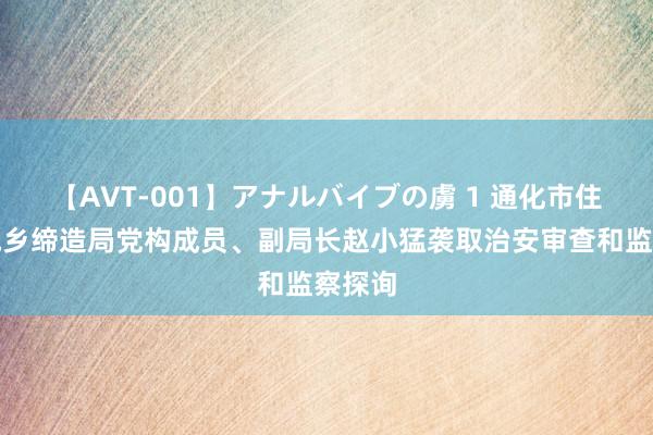 【AVT-001】アナルバイブの虜 1 通化市住房和城乡缔造局党构成员、副局长赵小猛袭取治安审查和监察探询