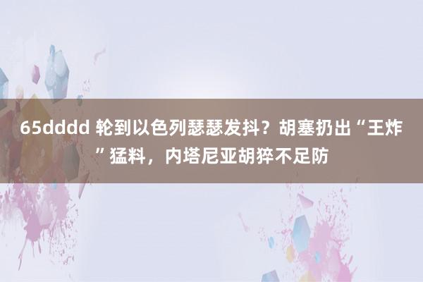 65dddd 轮到以色列瑟瑟发抖？胡塞扔出“王炸”猛料，内塔尼亚胡猝不足防