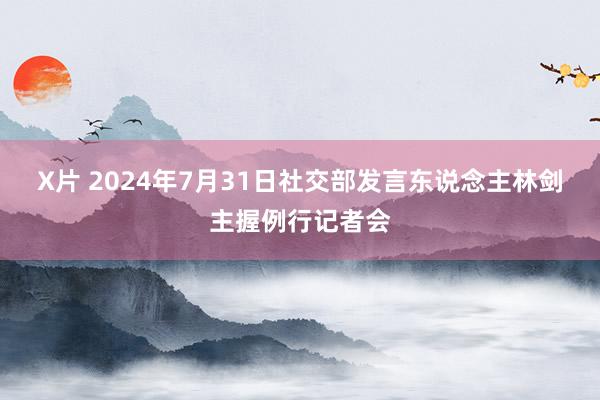 X片 2024年7月31日社交部发言东说念主林剑主握例行记者会