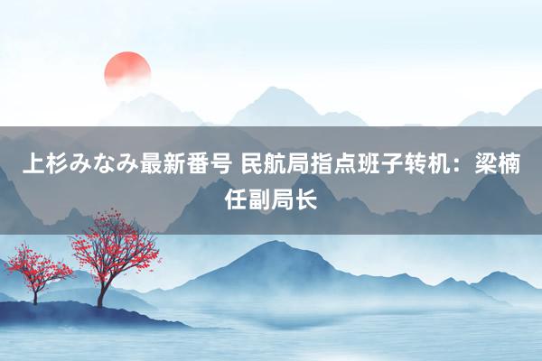 上杉みなみ最新番号 民航局指点班子转机：梁楠任副局长