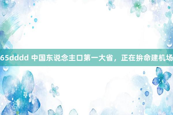 65dddd 中国东说念主口第一大省，正在拚命建机场