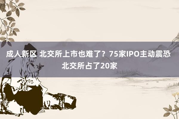 成人新区 北交所上市也难了？75家IPO主动震恐 北交所占了20家