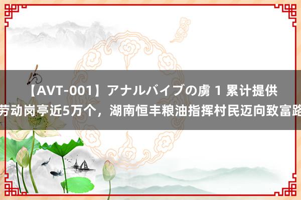 【AVT-001】アナルバイブの虜 1 累计提供劳动岗亭近5万个，湖南恒丰粮油指挥村民迈向致富路