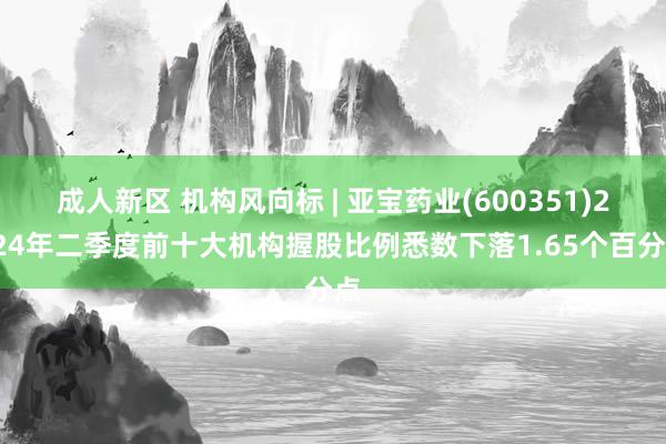 成人新区 机构风向标 | 亚宝药业(600351)2024年二季度前十大机构握股比例悉数下落1.65个百分点