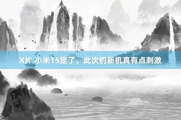 X片 小米15定了，此次的新机真有点刺激