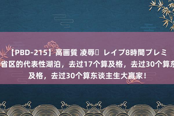 【PBD-215】高画質 凌辱・レイプ8時間プレミアムBEST 34个省区的代表性湖泊，去过17个算及格，去过30个算东谈主生大赢家！