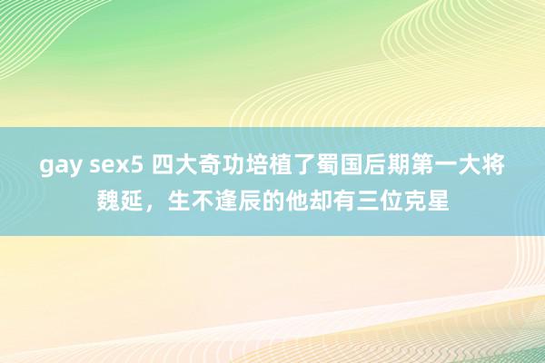 gay sex5 四大奇功培植了蜀国后期第一大将魏延，生不逢辰的他却有三位克星