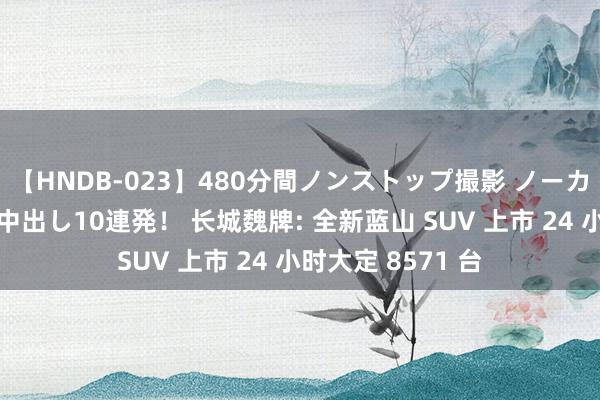 【HNDB-023】480分間ノンストップ撮影 ノーカット編集で本物中出し10連発！ 长城魏牌: 全新蓝山 SUV 上市 24 小时大定 8571 台