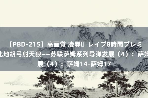 【PBD-215】高画質 凌辱・レイプ8時間プレミアムBEST 北地胡弓射天狼——苏联萨姆系列导弹发展（4）：萨姆14-萨姆17