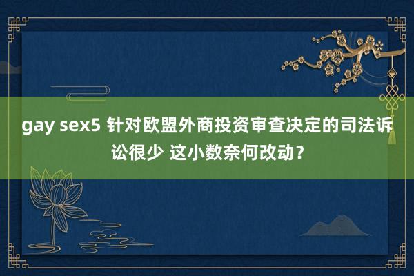 gay sex5 针对欧盟外商投资审查决定的司法诉讼很少 这小数奈何改动？