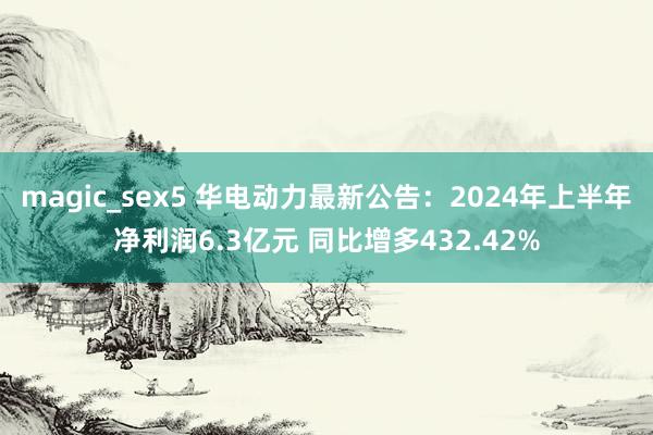 magic_sex5 华电动力最新公告：2024年上半年净利润6.3亿元 同比增多432.42%