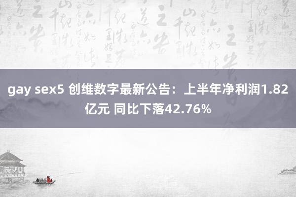 gay sex5 创维数字最新公告：上半年净利润1.82亿元 同比下落42.76%