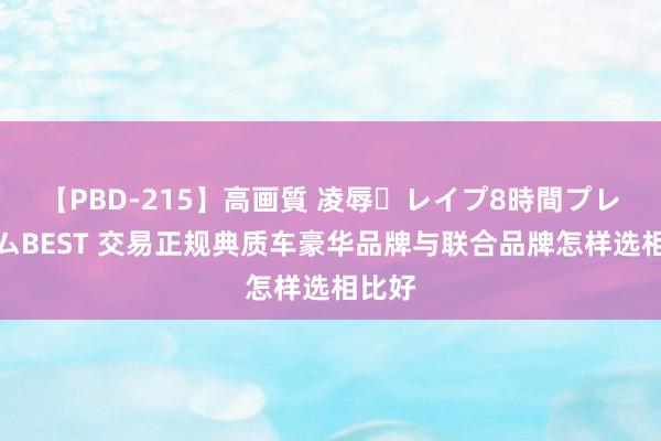 【PBD-215】高画質 凌辱・レイプ8時間プレミアムBEST 交易正规典质车豪华品牌与联合品牌怎样选相比好