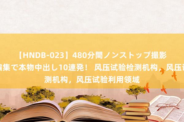 【HNDB-023】480分間ノンストップ撮影 ノーカット編集で本物中出し10連発！ 风压试验检测机构，风压试验利用领域