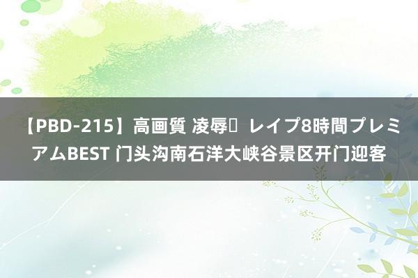 【PBD-215】高画質 凌辱・レイプ8時間プレミアムBEST 门头沟南石洋大峡谷景区开门迎客