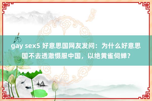 gay sex5 好意思国网友发问：为什么好意思国不去透澈慑服中国，以绝黄雀伺蝉？