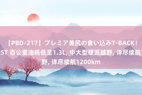 【PBD-217】プレミア美尻の食い込みT-BACK！8時間BEST 百公里油耗低至1.3L, 中大型硬派越野, 详尽续航1200km